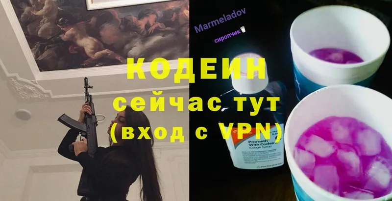 Кодеиновый сироп Lean Purple Drank  Каменка 